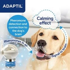 Adaptil Calm Refill Diffuser - 3 Pack By Adaptil -Deals Happy Paw Food Store Adaptil Calm Refill Diffuser 3 Pack 4