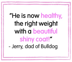 Deals Happy Paw Food Store -Deals Happy Paw Food Store Champers Rich in Beef Dry Dog Food 12kg 3kg FREE 2