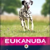 Eukanuba Adult Salmon & Barley Large Breed Dry Dog Food - 12kg By Eukanuba -Deals Happy Paw Food Store Eukanuba Adult Salmon Rice Dry Dog Food 12kg 1