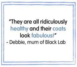 Eukanuba Thriving Mature Large Breed Dry Dog Food Chicken - 12kg By Eukanuba -Deals Happy Paw Food Store Eukanuba Senior Mature Large Breed Dry Dog Food 12kg 2