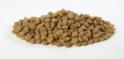 Harringtons Turkey & Rice Dry Puppy Food - 10kg By Harringtons -Deals Happy Paw Food Store Harringtons Turkey Rice Dry Puppy Food 10kg 4
