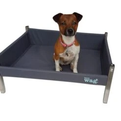 Henry Wag Elevated Dog Bed By Henry Wag