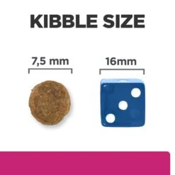 Hill’s Prescription Diet Gastrointestinal Biome Mini Dry Dog Food - 3kg By Hills Prescription Diet -Deals Happy Paw Food Store Hills Prescription Diet Gastrointestinal Biome Mini Dry Dog Food 3kg 6