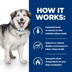 Hills Prescription Diet C/d Multicare + Metabolic Chicken Dog Food - 12kg By Hills Prescription Diet -Deals Happy Paw Food Store Hills Prescription Diet c d Multicare Metabolic Chicken Dog Food 12kg 6