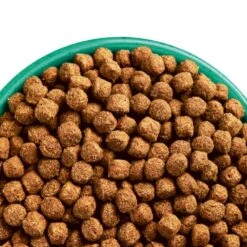 James Wellbeloved Lamb & Rice Junior Dry Dog Food - 15kg By James Wellbeloved -Deals Happy Paw Food Store James Wellbeloved Lamb Rice Junior Dry Dog Food 15kg 2