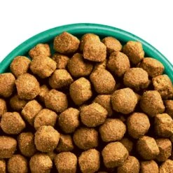 James Wellbeloved Turkey & Rice Junior Large Breed Dry Dog Food - 15kg By James Wellbeloved -Deals Happy Paw Food Store James Wellbeloved Turkey Rice Junior Large Breed Dry Dog Food 15kg 2