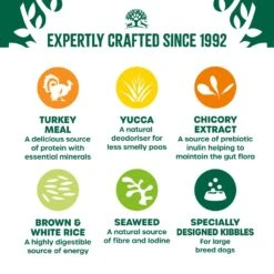 James Wellbeloved Turkey & Rice Junior Large Breed Dry Dog Food - 15kg By James Wellbeloved -Deals Happy Paw Food Store James Wellbeloved Turkey Rice Junior Large Breed Dry Dog Food 15kg 4