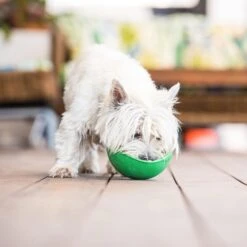 Lickimat Wobble Green By LickiMat -Deals Happy Paw Food Store Lickimat Wobble Green 3