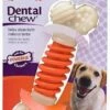 Nylabone Dental Fresh Breath Chew Bone- Medium By Nylabone
