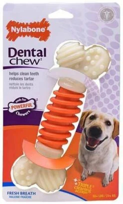 Nylabone Dental Fresh Breath Chew Bone- Medium By Nylabone