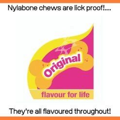 Nylabone Dura Chew Bone- X Large By Nylabone -Deals Happy Paw Food Store Nylabone Dura Chew Bone X Large 4