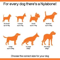 Nylabone Dura Chew Extreme Tough- Medium By Nylabone -Deals Happy Paw Food Store Nylabone Dura Chew Extreme Tough Medium 5