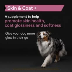 PRO PLAN Skin And Coat Supplement Oil For Adult And Senior Dogs - 500ml By Pro Plan -Deals Happy Paw Food Store PRO PLAN Dog Adult And Senior Skin Coat Supplement Oil 500ml 4