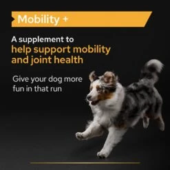PRO PLAN Dog Adult And Senior Mobility Supplement Powder - 120g By Pro Plan -Deals Happy Paw Food Store PRO PLAN Dog Adult Senior Mobility Supplement Powder 120g 4