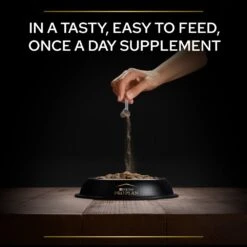 PRO PLAN Dog Adult And Senior Mobility Supplement Powder - 60g By Pro Plan -Deals Happy Paw Food Store PRO PLAN Dog Adult Senior Mobility Supplement Powder 60g 6