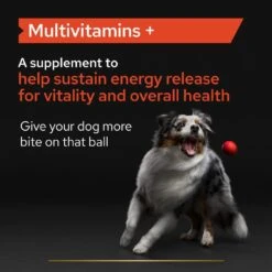 PRO PLAN Dog Adult And Senior Multivitamins Supplement - 90 Tablets By Pro Plan -Deals Happy Paw Food Store PRO PLAN Dog Adult Senior Multivitamins Supplement 90 Tablets 4