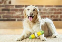 PetSafe Busy Buddy Corn Dog Toy - Medium / Large By Petsafe -Deals Happy Paw Food Store PetSafe Busy Buddy Corn Dog Toy Medium Large 3