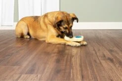 Petsafe Forever Bone Dog Toy - Large By Petsafe -Deals Happy Paw Food Store Petsafe Forever Bone Dog Toy Large 3