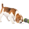 Petsafe Kibble Chase Roaming Treat Dropper Dog Toy By Petsafe -Deals Happy Paw Food Store Petsafe Kibble Chase Roaming Treat Dropper Dog Toy 1