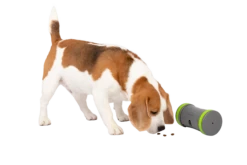 Petsafe Kibble Chase Roaming Treat Dropper Dog Toy By Petsafe