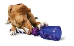Petsafe Tug-a-Jug Dog Toy - Medium / Large By Petsafe -Deals Happy Paw Food Store Petsafe Tug a Jug Dog Toy Medium Large 3