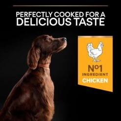 PRO PLAN Large Athletic Adult Dry Dog Food Everyday Nutrition Rich In Chicken - 14kg By Pro Plan -Deals Happy Paw Food Store Pro Plan Large Breed Adult Athletic Chicken Dry Dog Food 14kg 5