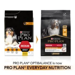 PRO PLAN Medium Adult Dry Dog Food Everyday Nutrition Rich In Chicken - 3kg By Pro Plan -Deals Happy Paw Food Store Pro Plan Original Chicken Rice Medium Dry Dog Food 3kg 2