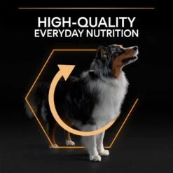 PRO PLAN Medium Adult Dry Dog Food Everyday Nutrition Rich In Chicken - 3kg By Pro Plan -Deals Happy Paw Food Store Pro Plan Original Chicken Rice Medium Dry Dog Food 3kg 7