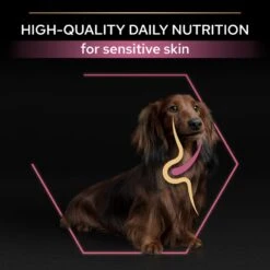 PRO PLAN Small & Mini Adult Dry Dog Food Sensitive Skin Rich In Salmon - 3kg By Pro Plan -Deals Happy Paw Food Store Purina Pro Plan Small Mini Adult For Sensitive Skin With Salmon Dry Dog Food 3kg 7