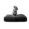 Ralph & Co Pillow Bed Faux Leather Codie 2 Ralph & Co Pillow Bed Faux Leather Codie -Deals Happy Paw Food Store Ralph Co Pillow Bed Faux leather Codie 1
