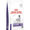 Royal Canin Veterinary Diet Medium & Large Breed Dental Dry Dog Food - 13kg By Royal Canin Veterinary Diet -Deals Happy Paw Food Store Royal Canin Canine Dental Dry Dog Food 13Kg 1