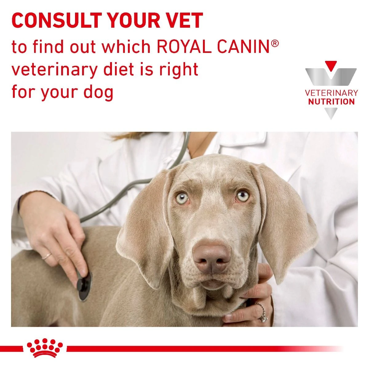Royal Canin Veterinary Diet Canine Sensitivity Control Duck & Tapioca Dry Dog Food - 14Kg By Royal Canin Veterinary Diet 9 Royal Canin Veterinary Diet Canine Sensitivity Control Duck & Tapioca Dry Dog Food - 14Kg By Royal Canin Veterinary Diet - Image 7