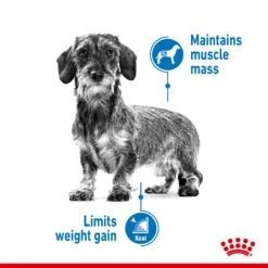 Royal Canin Mini Light Weight Care Adult Dry Dog Food - 3kg By Royal Canin -Deals Happy Paw Food Store Royal Canin Mini Light Dry Dog Food 3kg 3
