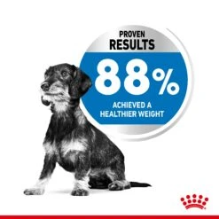 Royal Canin Mini Light Weight Care Adult Dry Dog Food - 3kg By Royal Canin -Deals Happy Paw Food Store Royal Canin Mini Light Dry Dog Food 3kg 4