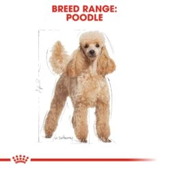 Royal Canin Poodle Dry Adult Dog Food - 1.5kg By Royal Canin -Deals Happy Paw Food Store Royal Canin Poodle Dry Adult Dog Food 1 5kg 2