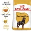 Royal Canin Rottweiler Dry Adult Dog Food - 3kg By Royal Canin 1 Royal Canin Rottweiler Dry Adult Dog Food - 3kg By Royal Canin -Deals Happy Paw Food Store Royal Canin Rottweiler Dry Dog Food 3kg 1