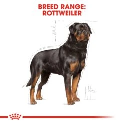 Royal Canin Rottweiler Dry Adult Dog Food - 3kg By Royal Canin -Deals Happy Paw Food Store Royal Canin Rottweiler Dry Dog Food 3kg 2