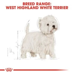 Royal Canin West Highland White Terrier Dry Adult Dog Food - 3kg By Royal Canin -Deals Happy Paw Food Store Royal Canin West Highland White Terrier Dry Adult Dog Food 3kg 2