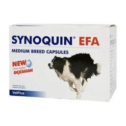 Synoquin EFA Chewable Supplement Tablets For Medium Breed Dogs - 120 Pack By Synoquin