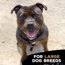 TastyBone Nylon TrioBone Bacon Flavoured Chew For Large Dogs - 426g By TastyBone 9 TastyBone Nylon TrioBone Bacon Flavoured Chew For Large Dogs - 426g By TastyBone -Deals Happy Paw Food Store TastyBone Nylon TrioBone Bacon Flavoured Chew For Large Dogs 426g 4