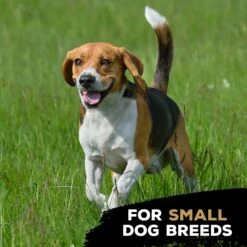 TastyBone Nylon TrioBone Bacon Flavoured Chew For Small Dogs - 165g By TastyBone -Deals Happy Paw Food Store TastyBone Nylon TrioBone Bacon Flavoured Chew For Small Dogs 165g 4