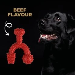 TastyBone Nylon TrioBone Beef Flavoured Chew For Large Dogs - 426g By TastyBone -Deals Happy Paw Food Store TastyBone Nylon TrioBone Beef Flavoured Chew For Large Dogs 426g 3