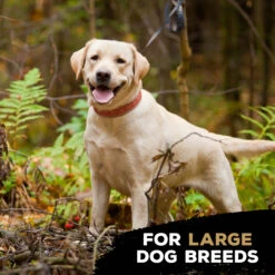 TastyBone Nylon TrioBone Beef Flavoured Chew For Large Dogs - 426g By TastyBone -Deals Happy Paw Food Store TastyBone Nylon TrioBone Beef Flavoured Chew For Large Dogs 426g 4