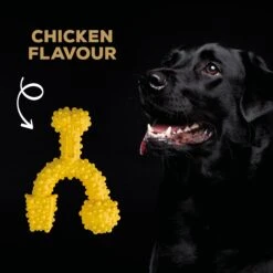 TastyBone Nylon TrioBone Chicken Flavoured Chew For Large Dogs - 426g By TastyBone 8 TastyBone Nylon TrioBone Chicken Flavoured Chew For Large Dogs - 426g By TastyBone -Deals Happy Paw Food Store TastyBone Nylon TrioBone Chicken Flavoured Chew For Large Dogs 426g 3