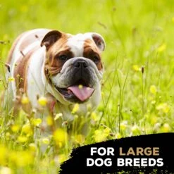 TastyBone Nylon TrioBone Chicken Flavoured Chew For Large Dogs - 426g By TastyBone 9 TastyBone Nylon TrioBone Chicken Flavoured Chew For Large Dogs - 426g By TastyBone -Deals Happy Paw Food Store TastyBone Nylon TrioBone Chicken Flavoured Chew For Large Dogs 426g 4