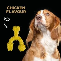 TastyBone Nylon TrioBone Chicken Flavoured Chew For Small Dogs - 165g By TastyBone -Deals Happy Paw Food Store TastyBone Nylon TrioBone Chicken Flavoured Chew For Small Dogs 165g 3