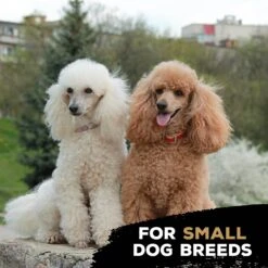 TastyBone Nylon TrioBone Chicken Flavoured Chew For Small Dogs - 165g By TastyBone -Deals Happy Paw Food Store TastyBone Nylon TrioBone Chicken Flavoured Chew For Small Dogs 165g 4