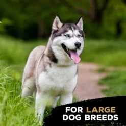 TastyBone Nylon TrioBone Lamb Flavoured Chew For Large Dogs - 426g By TastyBone -Deals Happy Paw Food Store TastyBone Nylon TrioBone Lamb Flavoured Chew For Large Dogs 426g 4