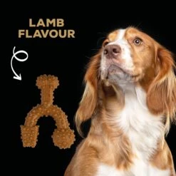 TastyBone Nylon TrioBone Lamb Flavoured Chew For Small Dogs - 165g By TastyBone 8 TastyBone Nylon TrioBone Lamb Flavoured Chew For Small Dogs - 165g By TastyBone -Deals Happy Paw Food Store TastyBone Nylon TrioBone Lamb Flavoured Chew For Small Dogs 165g 3