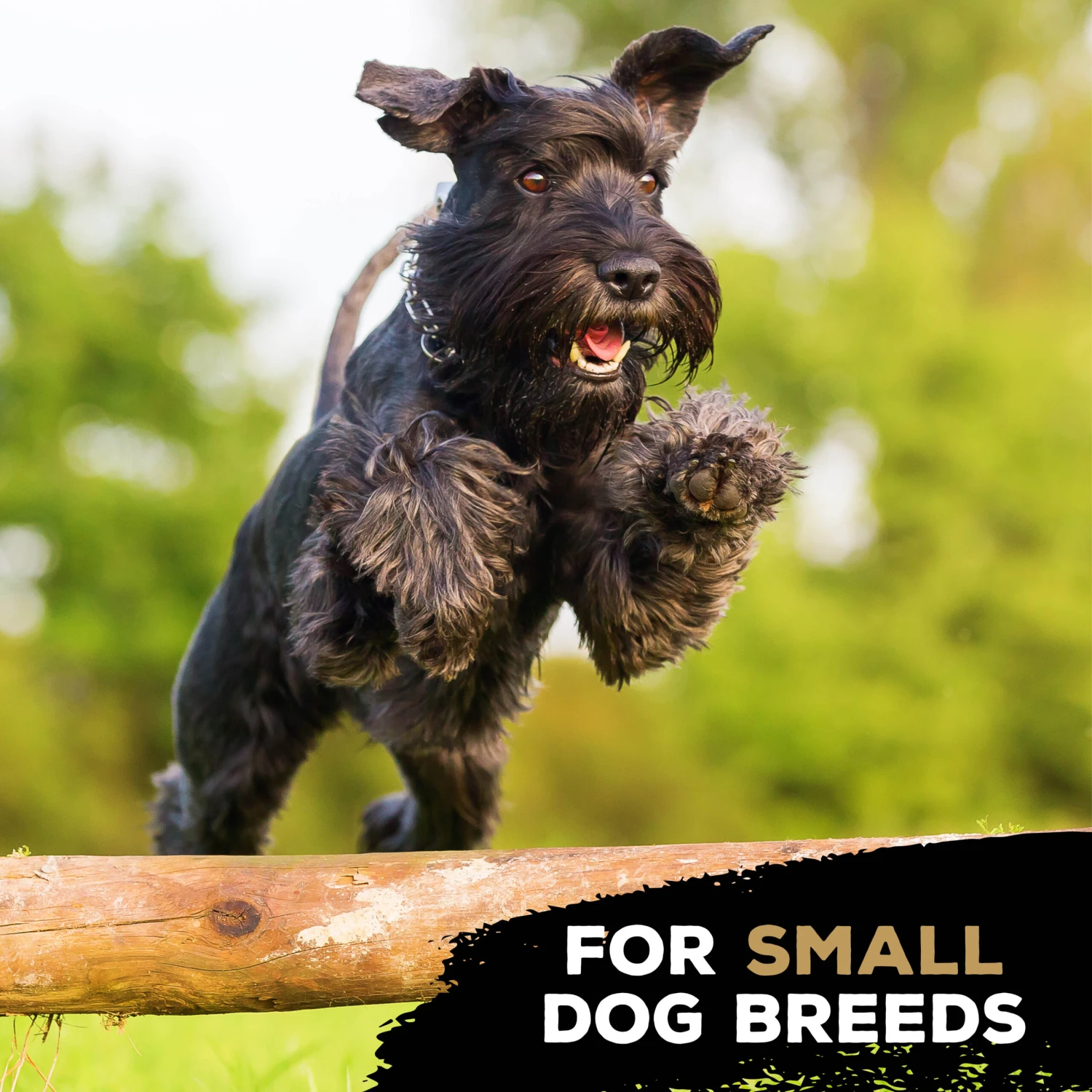 TastyBone Nylon TrioBone Lamb Flavoured Chew For Small Dogs - 165g By TastyBone 6 TastyBone Nylon TrioBone Lamb Flavoured Chew For Small Dogs - 165g By TastyBone - Image 4